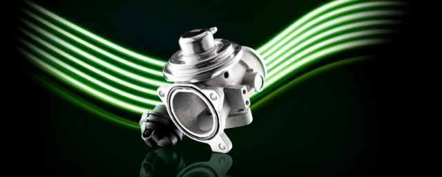 EGR_EGP0-N092_Visual_2022-01