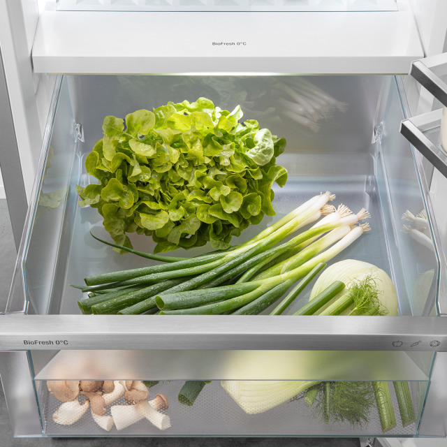 f8f5a1d8fda23d2e2bb1ef6c53678840